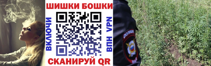 Купить наркотики Ногинск Гашиш  APVP  Меф мяу мяу  Кетамин  COCAIN  Канабис 