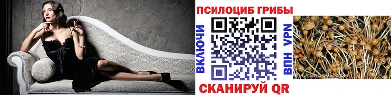 Псилоцибиновые грибы Magic Shrooms  Ногинск 